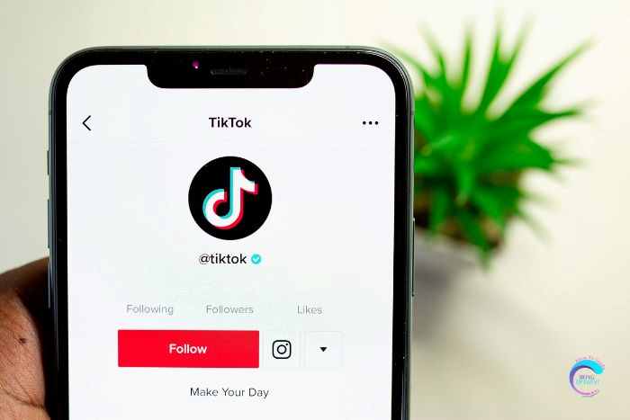 How to See Who Shared Your Tik Tok